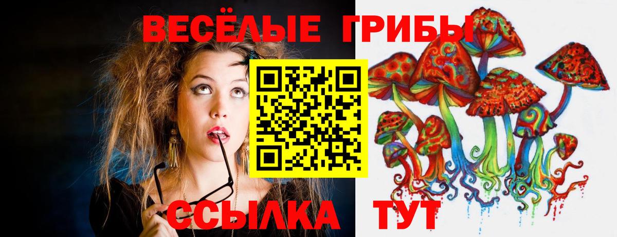 Галлюциногенные грибы GOLDEN TEACHER  Вход с VPN  наркота  Галлюциногенные грибы Cubensis  Лесосибирск 